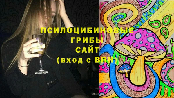 дурь Алексеевка