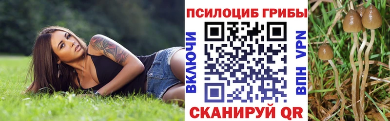 продажа наркотиков  ссылка на мегу tor  Галлюциногенные грибы GOLDEN TEACHER  Курчалой 